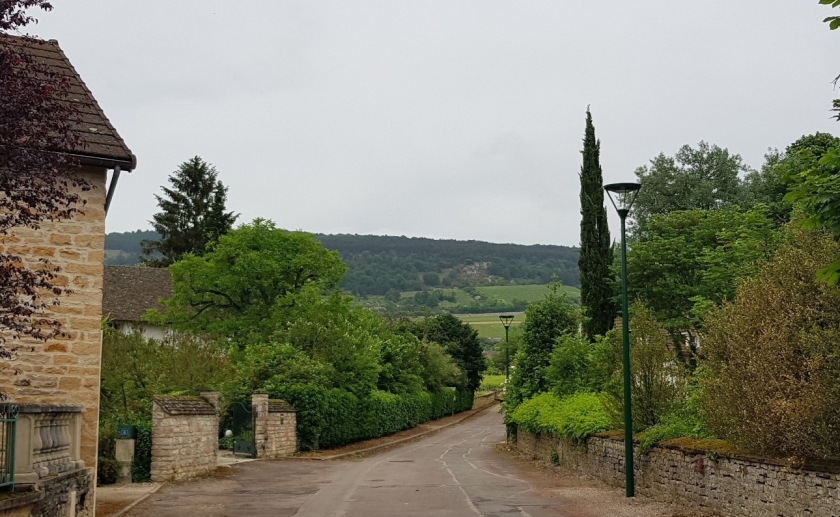 Santenay - Blick vom Dorf aus auf die Rebberge