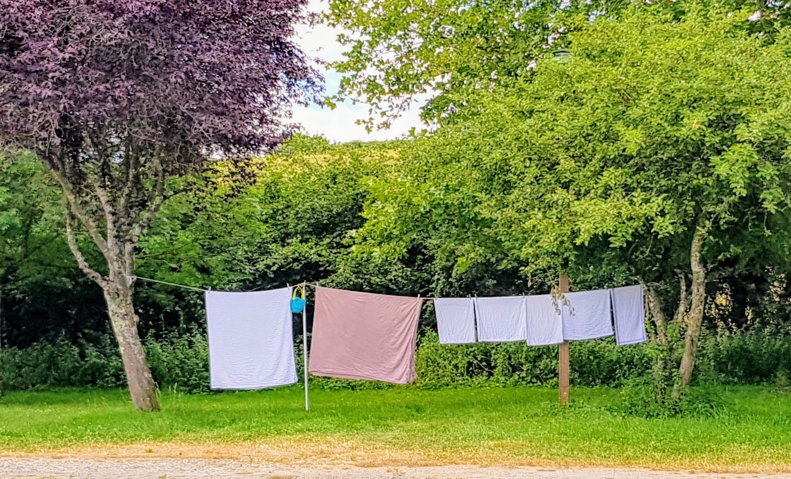 Heute Waschtag! Wäscheleine zwischen Bäumen, wie früher.